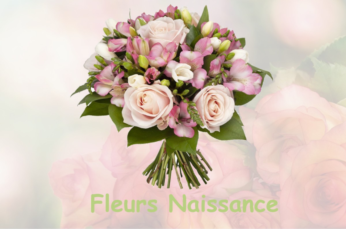 fleurs naissance LE-VIEUX-CERIER