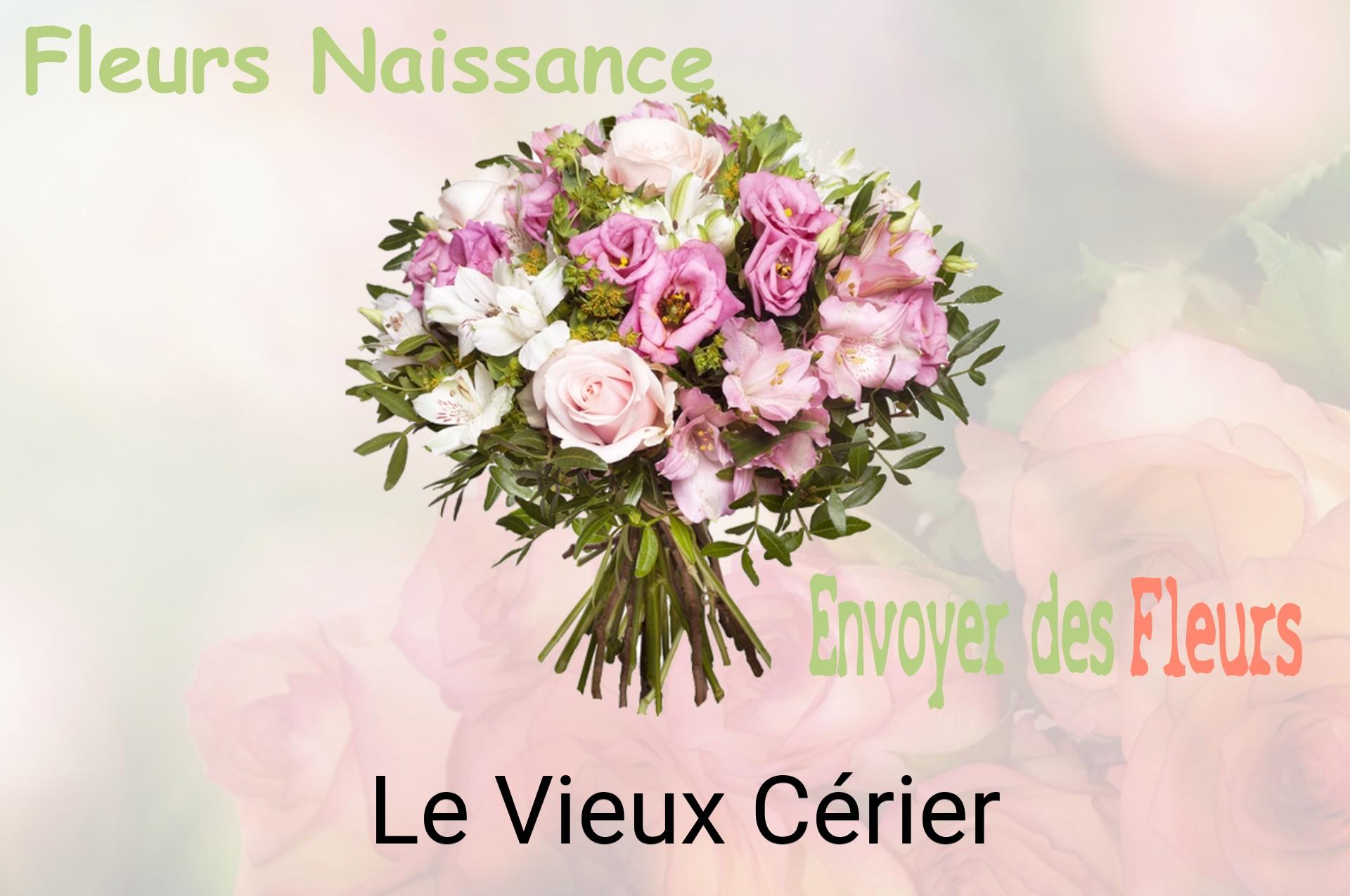 Bouquet de fleurs de naissance livré à Le Vieux-Cérier